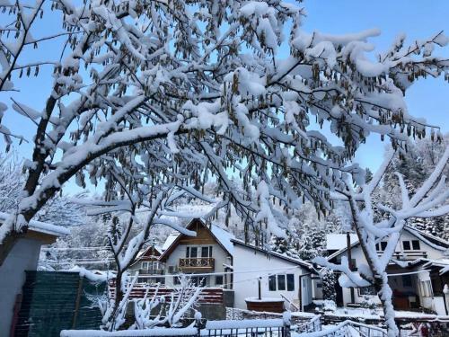Lodge Cabana B�lea Fir Bridge