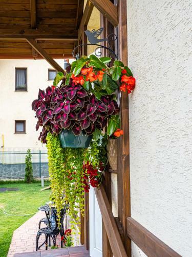 Bed & Breakfast Residence Rooms Bucovina