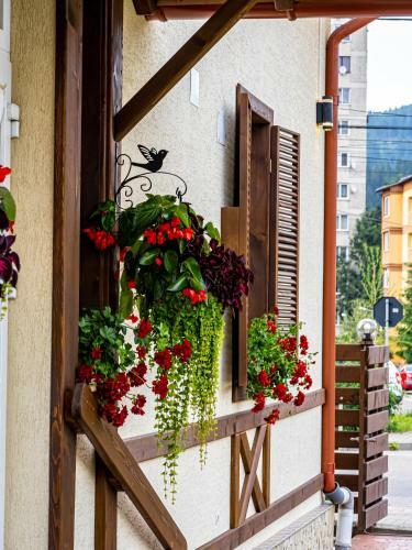 Bed & Breakfast Residence Rooms Bucovina