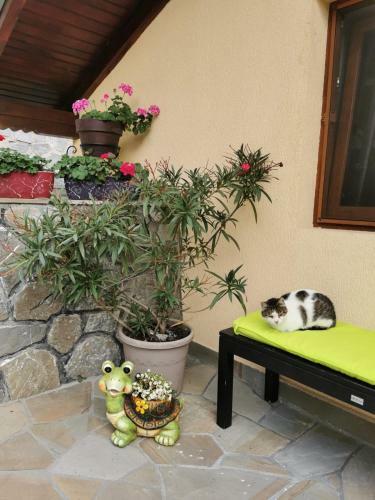 Apartament Flutura? De St�nc? Comarnic