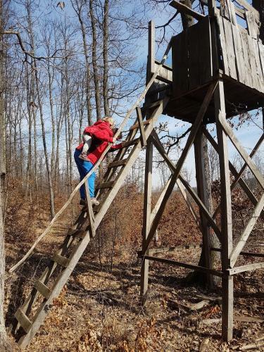 Agroturismo Pensiunea Bradet