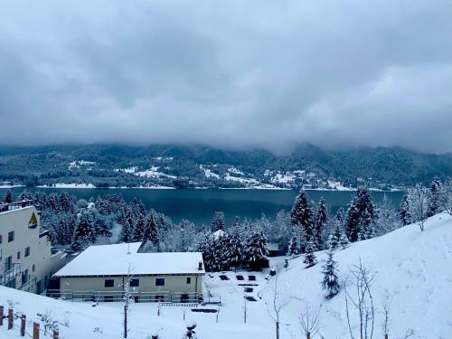 Villa Alpin House Colibita