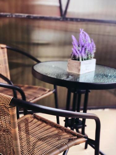 Apartamento Cozy Studio