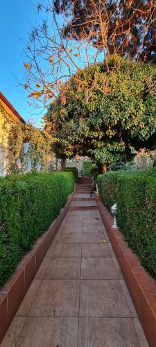 Villa Sunset Hill House Cuvin
