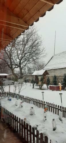 Bed & Breakfast Casa Dobo?