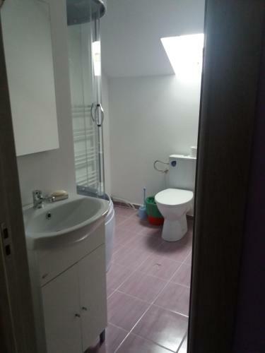Bed & Breakfast Pensiunea Agroturistica Primavara