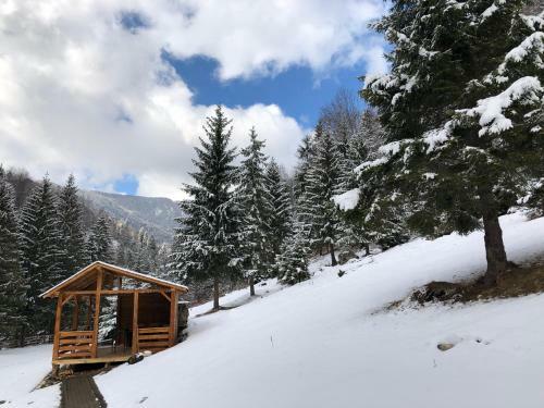 Villa Cabana Caprioara - Piatra Craiului