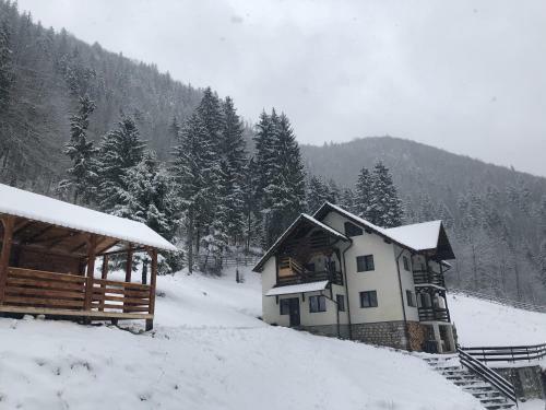 Villa Cabana Caprioara - Piatra Craiului