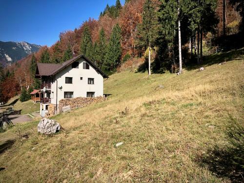Villa Cabana Caprioara - Piatra Craiului