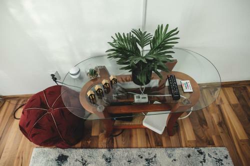 Apartamento Mama Teasa-apartment