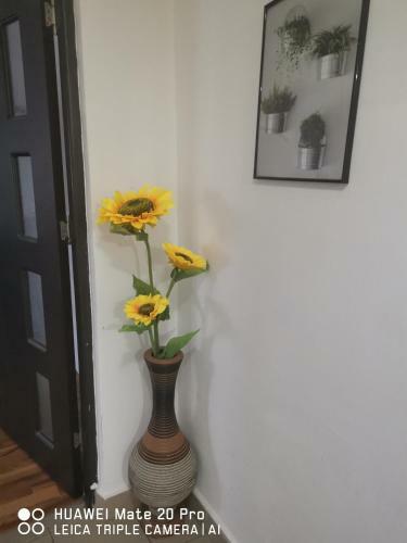 Apartamento Mama Teasa-apartment