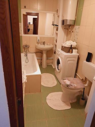 Apartamento D.d Alexandru