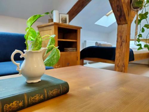 Hostal Casa D�vid Ferenc H�z