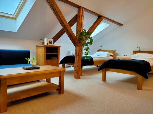 Hostal Casa D�vid Ferenc H�z