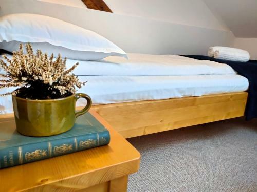 Hostal Casa D�vid Ferenc H�z