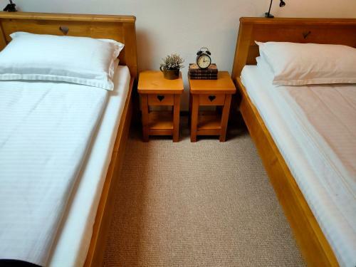 Hostal Casa D�vid Ferenc H�z