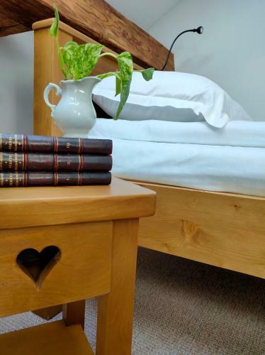Hostal Casa D�vid Ferenc H�z