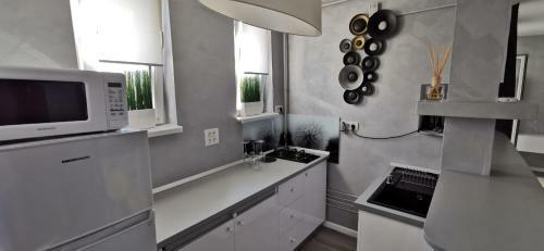 Apartamento Garsoniera Ultracentral