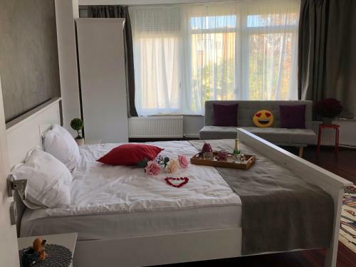 Hostal Pensiunea Pont-euxin