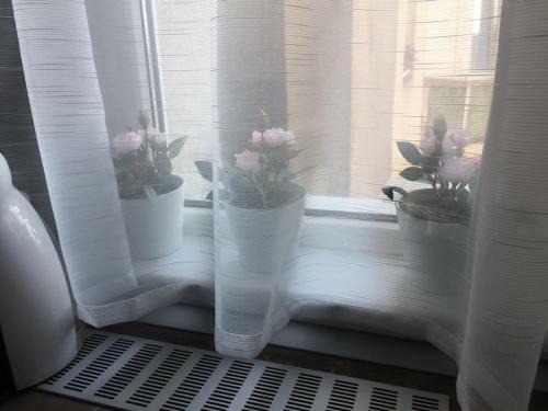 Apartament Plaja Golful Pescarilor