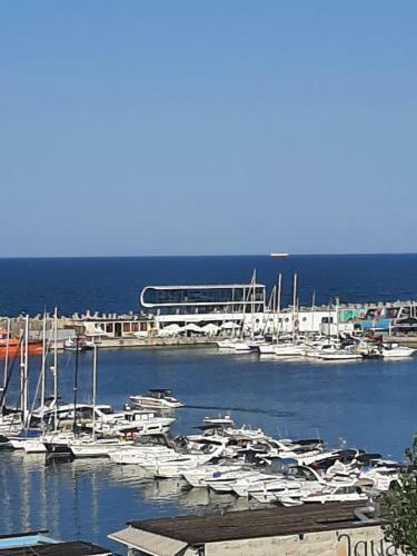 Hotel Alnis Boutique Villa