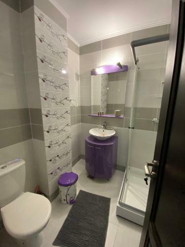 Apartamento Casa Anca Constan?a