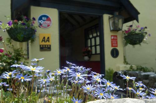 Hostal Llwyndu Farmhouse