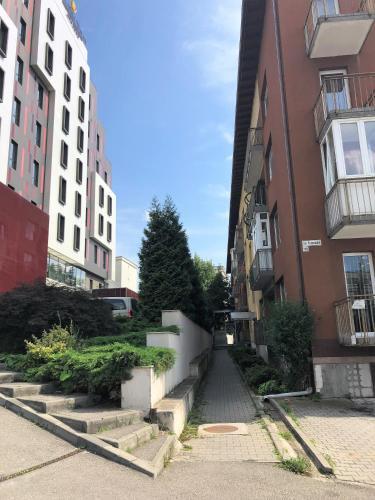 Apartamentos Frunzisului 110