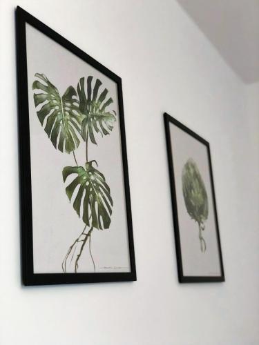 Apartamentos Frunzisului 110