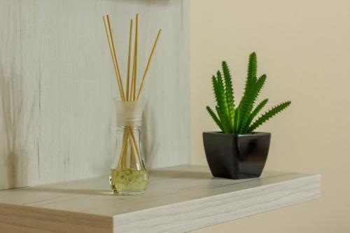 Apartamento My Place Titulescu 1