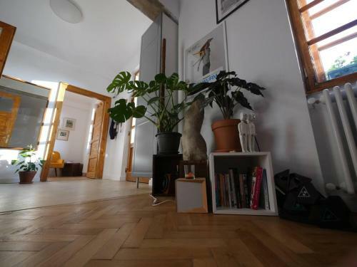 Good Mornings Apartment