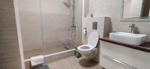 Apartament Sobarilor 38