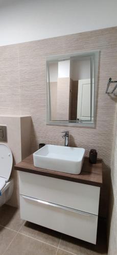 Apartament Sobarilor 38