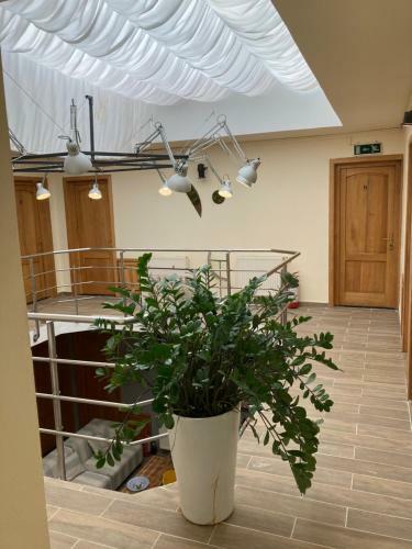 !!only During Untold!! - Cozy Apartment 500 Meters From Main Stage