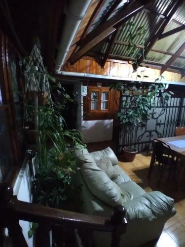 Albergue Hostal Gomero Y Shuttle Service