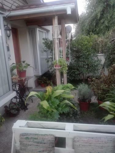 Bed & Breakfast La Ruta Del Jazz