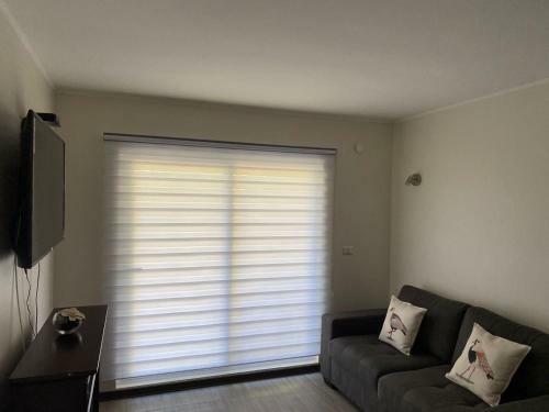 Apartamento Departamento Puc�n Andino