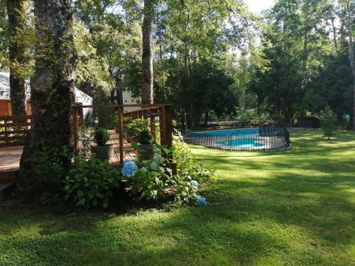 Apartamento Puc�n, Todo El A�o