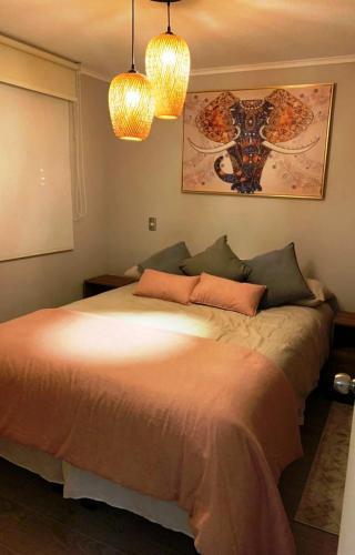 Apartamento Departamento Totalmente Amoblado Robles Del Volc�n