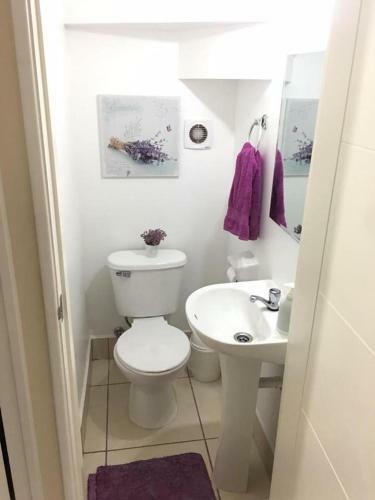 Casa Arriendo Pucon