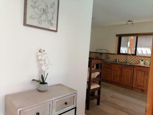 Apartamento Caba�a Chucao