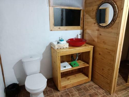 El Refugio Del Oso De Anteojos