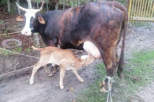 Alojamientos Monte De Si�n Apartamento Campestre
