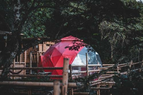 Bed & Breakfast Glamping Sumapaz - Fusagasug�