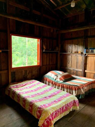 Apartamento Casita Del �rbol