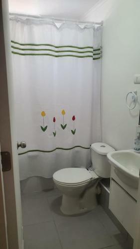 Apartamento Departamento En Villarrica