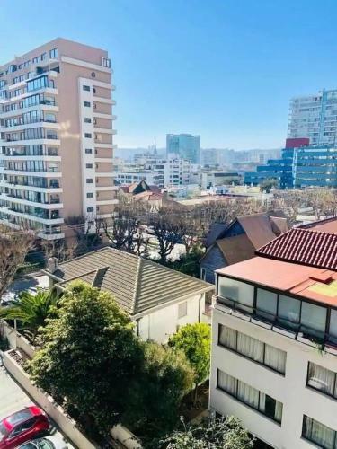 Apartamento Depto En Vi�a