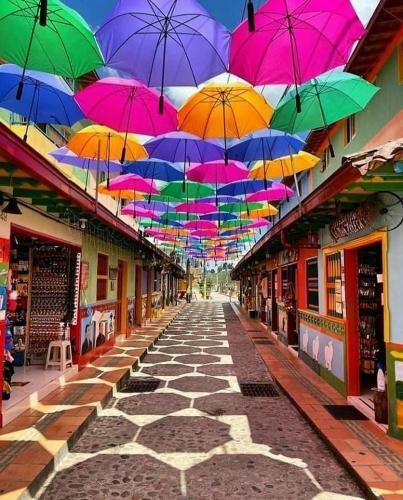 Apartamentos Amoblados En Guatap�