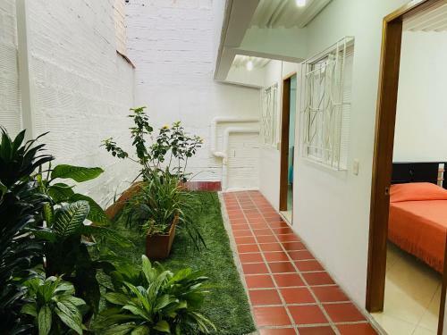 Vivienda Tur�stica El Z�calo