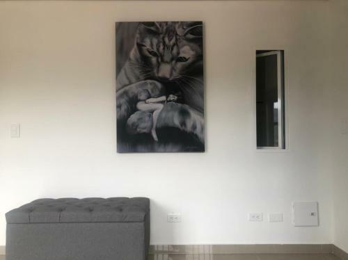 Moderno Apartamento En Guatap� Con Jacuzzi Y Parqueadero